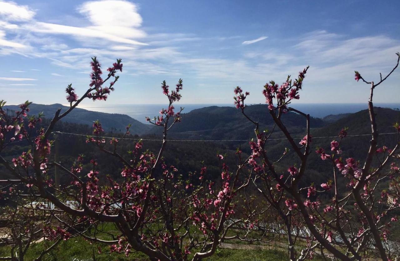 Agriturismo Lavalleggia Tovo San Giacomo エクステリア 写真