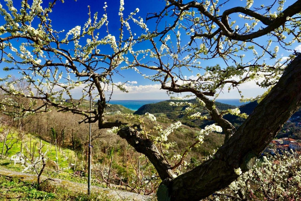 Agriturismo Lavalleggia Tovo San Giacomo エクステリア 写真